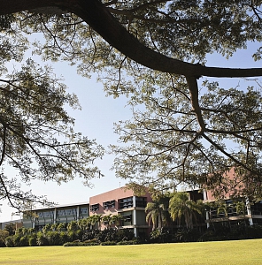 Navitas English Darwin